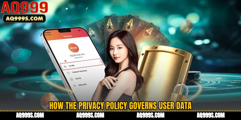 How the Privacy Policy Governs User Data
