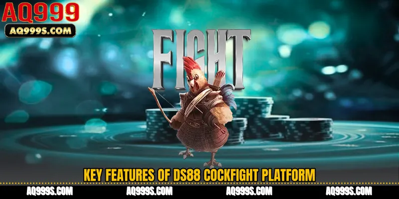 Key Features of DS88 Cockfight Platform