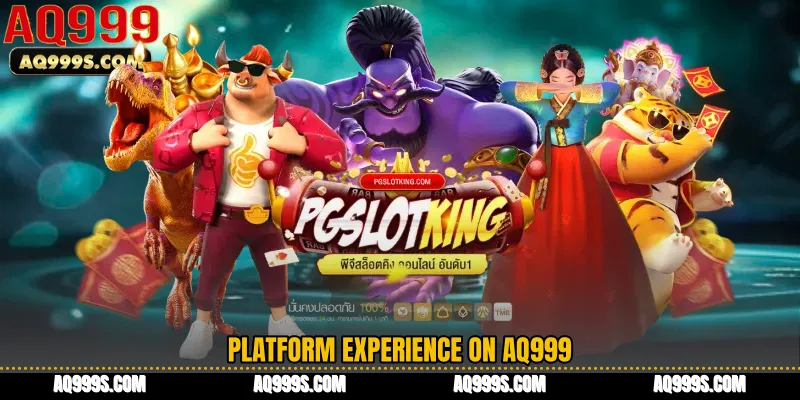 Platform Experience on AQ999