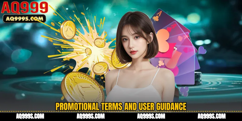 Promotional Terms and User Guidance