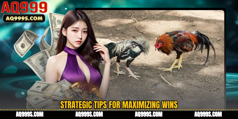 Strategic Tips for Maximizing Wins