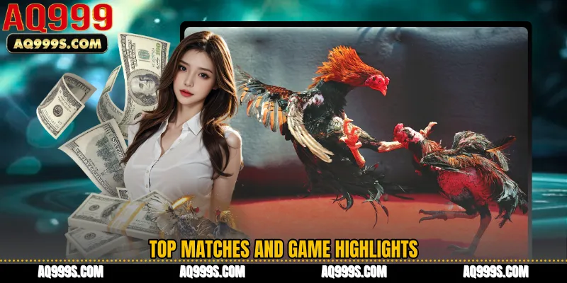 Top Matches and Game Highlights