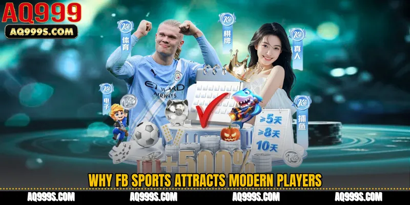 Why FB Sports Attracts Modern Players